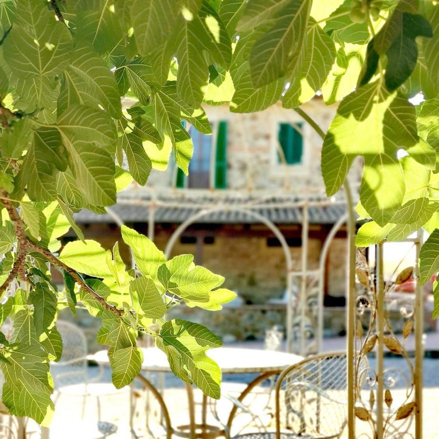 Fattoria Tolomei カンパニャーティコ エクステリア 写真